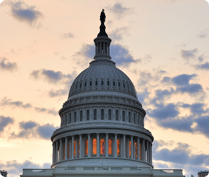 The Strategic Edge: Insights and Hub Consultation